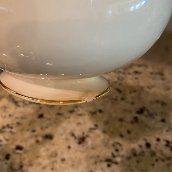Eggshell Nautilus Gravy Boat - Picture 7 of 14